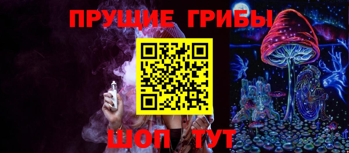 Псилоцибиновые грибы Psilocybine cubensis Воркута
