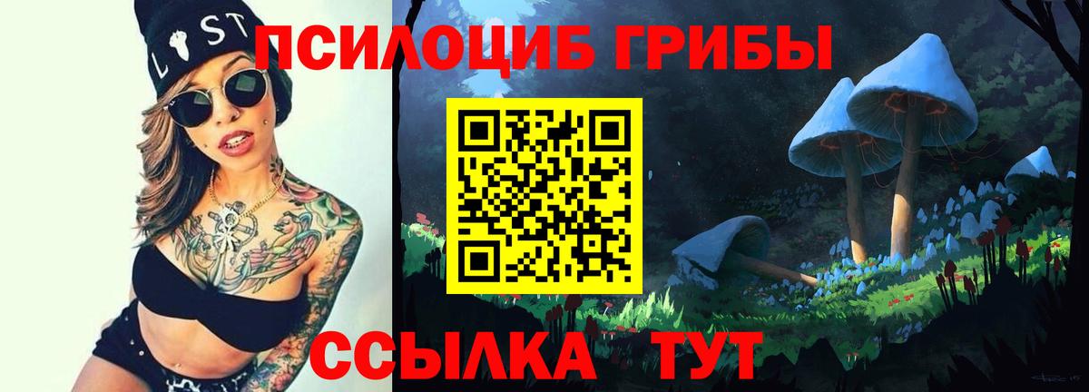 Воркута  Псилоцибиновые грибы MAGIC MUSHROOMS  Галлюциногенные грибы Psilocybine cubensis  Вход с VPN 
