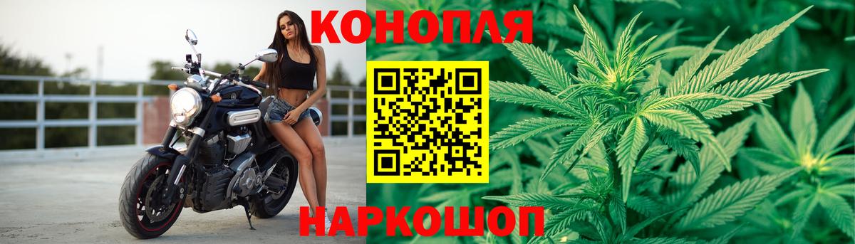 Бошки Шишки планчик  Шишки марихуана сатива  Воркута  Вход с VPN 